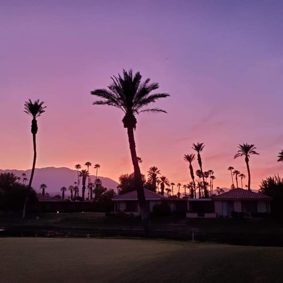 Meet your Posher, Lori - Picture 4 of 4